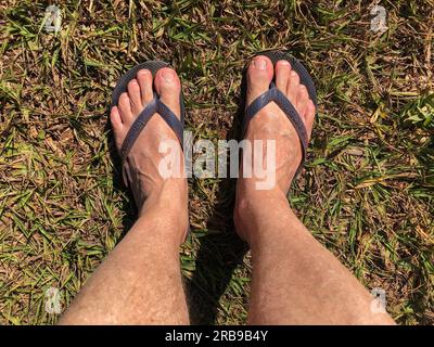 Füße in Gummisandalen, die auf Gras und Schmutzboden treten. Chinelo Havaianas Stockfoto