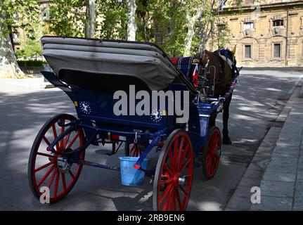 Antike Pferdekutsche auf den Straßen von Palermo in Sizilien, Italien. Stockfoto