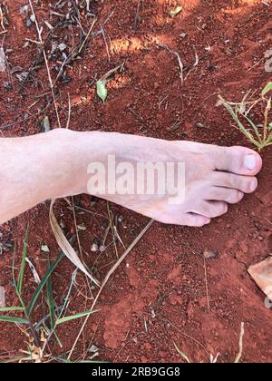 Füße in Gummisandalen, die auf Gras und Schmutzboden treten. Chinelo Havaianas Stockfoto