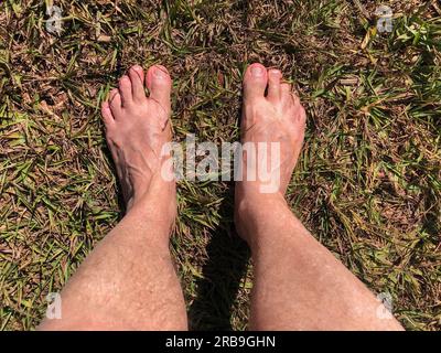 Füße in Gummisandalen, die auf Gras und Schmutzboden treten. Chinelo Havaianas Stockfoto