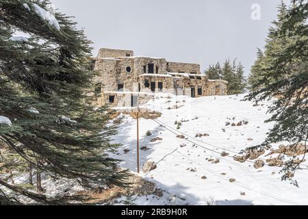 Zedernwald im Libanon im Winter Stockfoto