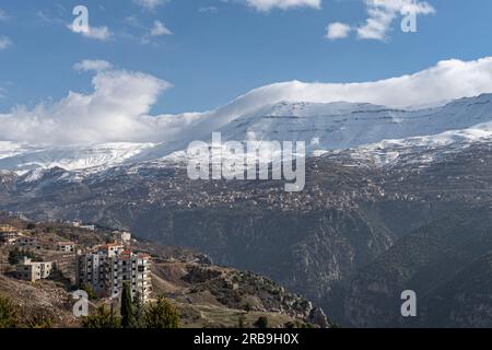 Zedernwald im Libanon im Winter Stockfoto