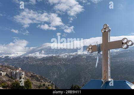 Zedernwald im Libanon im Winter Stockfoto