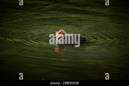 Wellen in meiner Welt Stockfoto