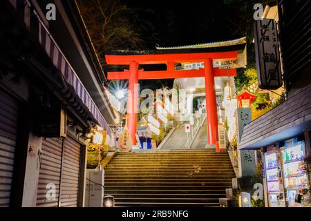 Der lebhafte, mit Zinnoberrot lackierte Torii ist das Tor zum großen Enoshima-Schrein, der aus drei Hauptschreinen besteht, die sich auf der Spitze eines w befinden Stockfoto