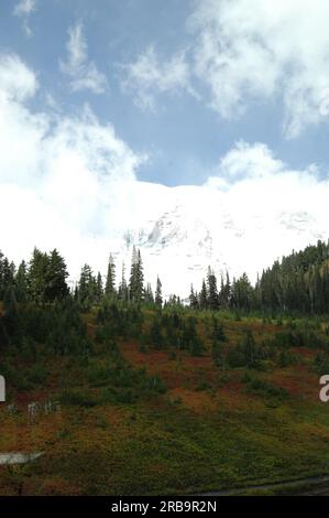 Mount Rainier National Park, Washington, wurde während des Besuchs von Minister Dirk Kempthorne gesehen, um die Grundsatzrede bei der großen Eröffnungs- und Einweihungszeremonie für das neue Henry M. Jackson Visitor Center in der Paradise Area of the Park zu halten Stockfoto