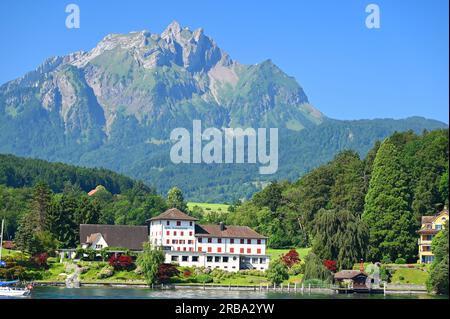 Der Pilatus und die Stadt Luzern sind die Juwelen des Vierwaldstättersees in der Schweiz. Stockfoto