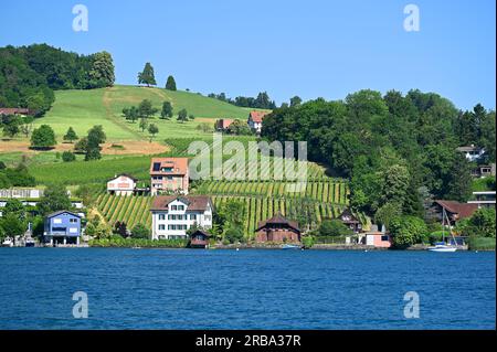 Der Pilatus und die Stadt Luzern sind die Juwelen des Vierwaldstättersees in der Schweiz. Stockfoto