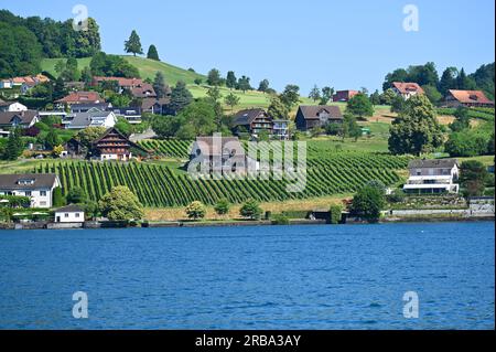 Der Pilatus und die Stadt Luzern sind die Juwelen des Vierwaldstättersees in der Schweiz. Stockfoto