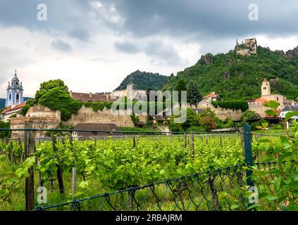 8. Juni 2023 Panoramablick auf das malerische Dürnstein, eine kleine Stadt an der Donau. Weinberge im Vordergrund und Schloss Dürnstein in t Stockfoto