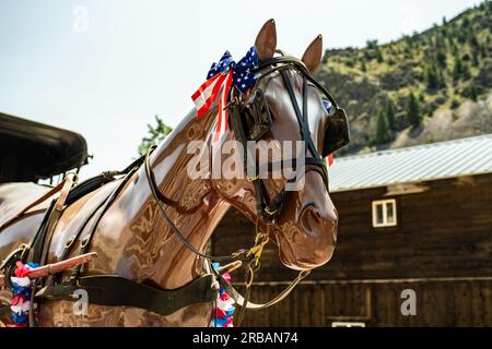 Clayton Idaho Parade am 4. Juli Stockfoto