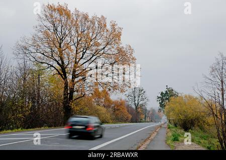 Ein schnell verschwommenes schwarzes Auto auf einer geraden Straße im Herbst Stockfoto