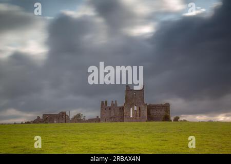 Wexford, Irland - Juni 24. 2023: Dunbrody Abbey, gegründet 1170 Stockfoto