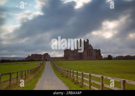 Wexford, Irland - Juni 24. 2023: Dunbrody Abbey, gegründet 1170 Stockfoto