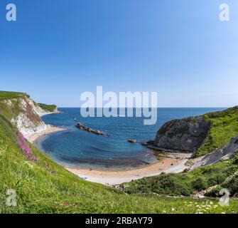 Man O'war Bay an der Jurassic Coast nahe Durdledoor, West Lulworth, Dorset, England, Großbritannien Stockfoto