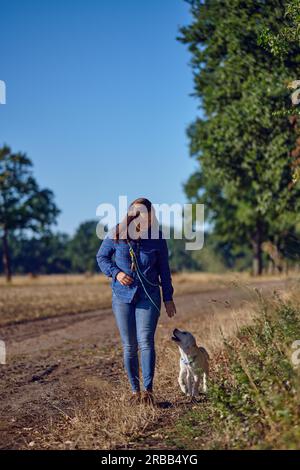 Eine glückliche, brünette Frau mittleren Alters, die mit ihrem kleinen Labrador Retriever-Welpen im goldenen Sonnenlicht spazieren geht, mit Kopierraum rechts Stockfoto
