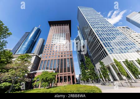 Blick auf die Stadt, Skyline von Frankfurt am Main, Hessen, Deutschland Stockfoto