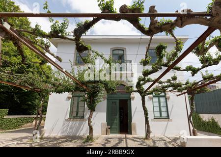 Casa do Cinema, Kinomuseum mit Arbeiten des portugiesischen Regisseurs Manoel de Oliveira, Parque de Serralves, Porto, Portugal Stockfoto