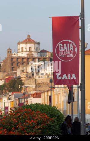 Flaggen, die Gaia und Portwein am Ufer von Cais de Gaia anpreisen, Abendlicht, Vila Nova de Gaia, Porto, Portugal Stockfoto