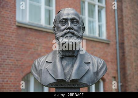 Büste, Rudolf Virchow, Charite, Mitte, Berlin, Deutschland Stockfoto