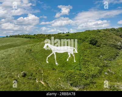 Blick aus der Vogelperspektive auf Litlington White Horse, eine Kreidefigur, die ein Pferd darstellt, befindet sich auf Hindover Hill, Hindover Hill, Litlington, East Sussex Stockfoto