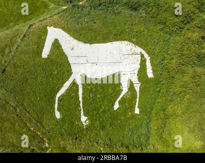 Blick aus der Vogelperspektive auf Litlington White Horse, eine Kreidefigur, die ein Pferd darstellt, befindet sich auf Hindover Hill, Hindover Hill, Litlington, East Sussex Stockfoto