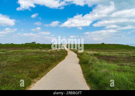 Warren Hill, Hengistbury Head, Großbritannien - Juli 1. 2023: Fußweg durch die Heide. Stockfoto