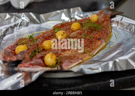 Traditioneller Sardellenfisch (Pomatomus saltador), der im Ofen gebacken werden kann Stockfoto