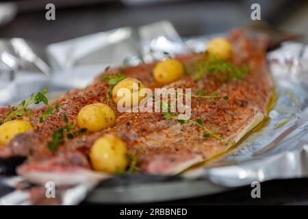 Traditioneller Sardellenfisch (Pomatomus saltador), der im Ofen gebacken werden kann Stockfoto