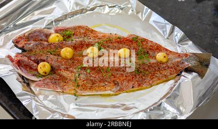 Traditioneller Sardellenfisch (Pomatomus saltador), der im Ofen gebacken werden kann Stockfoto