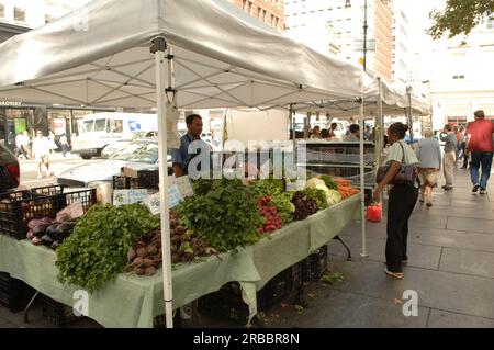 Minister Dirk Kempthorne und Helfer in New York City, New York, für die Tour, Teilnahme an der Einweihung der neuen Gedenkstätte am African Grabstätte National Monument Stockfoto