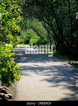 Prince's Island Park Calgary Alberta Stockfoto
