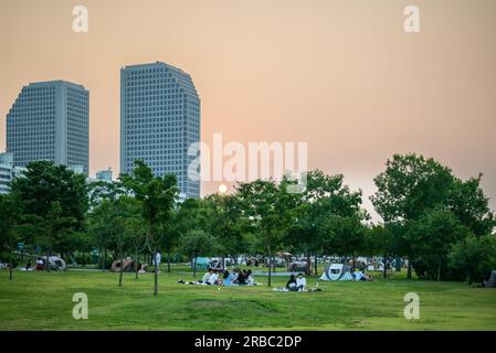 Picknick-Besucher im Yeouido-Park am Han River in Seoul, Südkorea, am 24. Juni 2023 Stockfoto