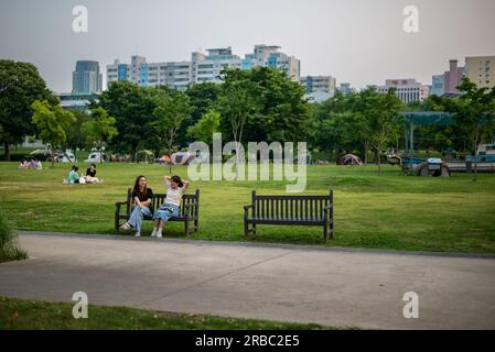 Picknick-Besucher im Yeouido-Park am Han River in Seoul, Südkorea, am 24. Juni 2023 Stockfoto