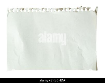 Notizbuchpapier aus einem Ringbuch auf weißem Hintergrund mit Beschneidungspfad herausgezogen Stockfoto