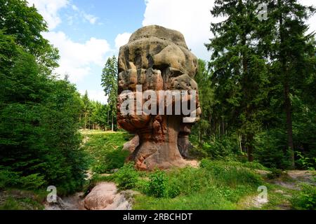 Oybin, Deutschland. 06. Juli 2023. Blick auf den Kelchstein, einen Pilzfelsen im Zittau-Gebirge. Nonne Felsen, Kelchsteine oder der Berg Oybin, der einem riesigen Bienenstock in seiner Form ähnelt: Bizarre Felsformationen können in den Zittau Bergen entdeckt werden. Aufgrund der geologischen Ähnlichkeiten wird manchmal sogar von der "kleinen Schwester der sächsischen Schweiz" gesprochen. (Zu dpa: 'Beliebt für Kurzurlaube: Zittau Berge wollen entdeckt werden') Kredit: Robert Michael/dpa/Alamy Live News Stockfoto