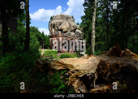 Oybin, Deutschland. 06. Juli 2023. Blick auf den Kelchstein, einen Pilzfelsen im Zittau-Gebirge. Nonne Felsen, Kelchsteine oder der Berg Oybin, der einem riesigen Bienenstock in seiner Form ähnelt: Bizarre Felsformationen können in den Zittau Bergen entdeckt werden. Aufgrund der geologischen Ähnlichkeiten wird manchmal sogar von der "kleinen Schwester der sächsischen Schweiz" gesprochen. (Zu dpa: 'Beliebt für Kurzurlaube: Zittau Berge wollen entdeckt werden') Kredit: Robert Michael/dpa/Alamy Live News Stockfoto