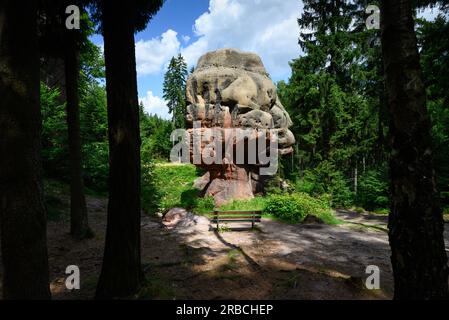 Oybin, Deutschland. 06. Juli 2023. Blick auf den Kelchstein, einen Pilzfelsen im Zittau-Gebirge. Nonne Felsen, Kelchsteine oder der Berg Oybin, der einem riesigen Bienenstock in seiner Form ähnelt: Bizarre Felsformationen können in den Zittau Bergen entdeckt werden. Aufgrund der geologischen Ähnlichkeiten wird manchmal sogar von der "kleinen Schwester der sächsischen Schweiz" gesprochen. (Zu dpa: 'Beliebt für Kurzurlaube: Zittau Berge wollen entdeckt werden') Kredit: Robert Michael/dpa/Alamy Live News Stockfoto