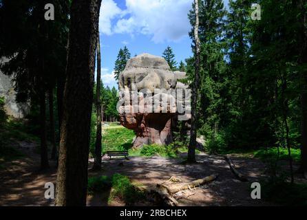 Oybin, Deutschland. 06. Juli 2023. Blick auf den Kelchstein, einen Pilzfelsen im Zittau-Gebirge. Nonne Felsen, Kelchsteine oder der Berg Oybin, der einem riesigen Bienenstock in seiner Form ähnelt: Bizarre Felsformationen können in den Zittau Bergen entdeckt werden. Aufgrund der geologischen Ähnlichkeiten wird manchmal sogar von der "kleinen Schwester der sächsischen Schweiz" gesprochen. (Zu dpa: 'Beliebt für Kurzurlaube: Zittau Berge wollen entdeckt werden') Kredit: Robert Michael/dpa/Alamy Live News Stockfoto