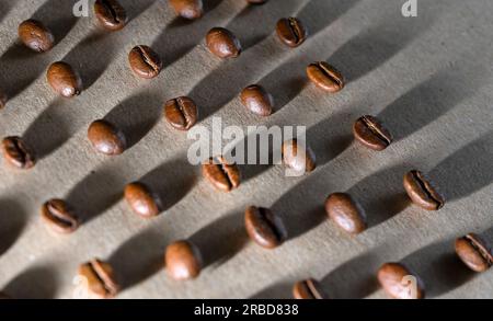Schräge Linien von Kaffeebohnen in hartem Licht mit Schatten Hintergrund Stockfoto