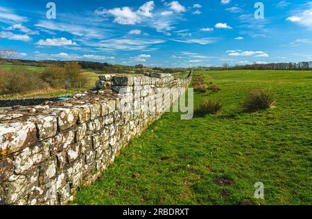 Hadrians Wall, Northumberland, Großbritannien Stockfoto