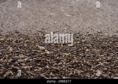 Kieselsteinstrand nach Sturm mit Meeresdebries, flacher Fokus Stockfoto