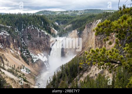 Yellowstone Lower Falls von einem der Aussichtspunkte in der Gegend aus gesehen Stockfoto