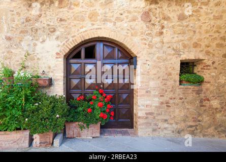 Renovierter Eingang mit charmanten Details, lebhaftem Grün und rustikalem Reiz. Stockfoto