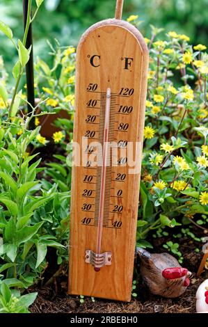 Das Thermometer zwischen den Blumen zeigt 28° Celsius an Stockfoto