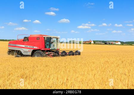 7. Juli 2023 Ernte von Tardis Wintergerste bei 14 % Feuchtigkeit auf einem Betrieb in der Nähe von Empingham, Rutland Stockfoto