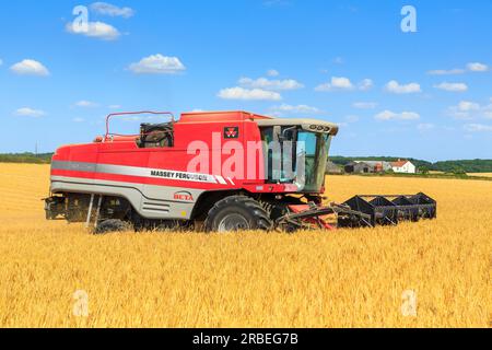 7. Juli 2023 Ernte von Tardis Wintergerste bei 14 % Feuchtigkeit auf einem Betrieb in der Nähe von Empingham, Rutland Stockfoto