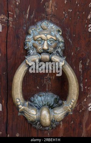 Detaillierter Türklopfer mit einem verzierten Löwenkopf aus langlebiger Bronze, dekoratives Element am Haupttor eines Gebäudes in Bologna, Italien Stockfoto
