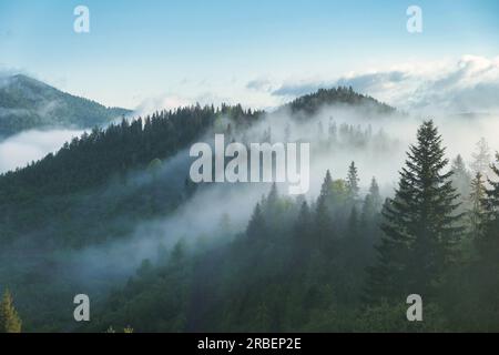 Gebirge mit sichtbaren Silhouette bis morgens bunte Nebel. Stockfoto