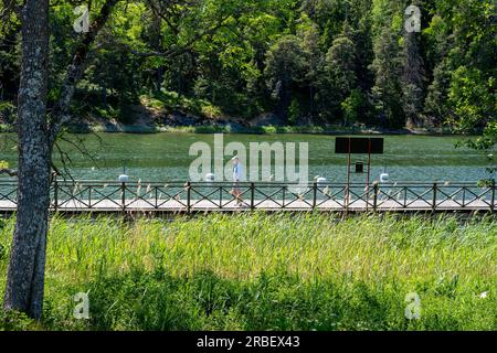 Querformat. Holzsteg mit Schiene am See im Garten Schwedens. Stockfoto